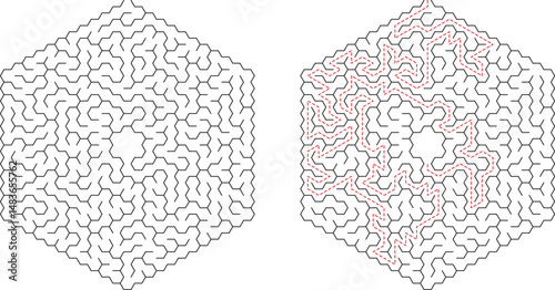 Hexagonal Maze Puzzle Solution Complex Labyrinth, Pathfinding Challenge
