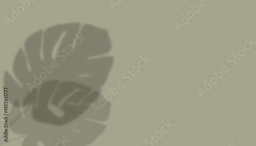 shadow from plant branches on green background