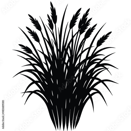 flowerbed with blooming ornamental grass and other plants