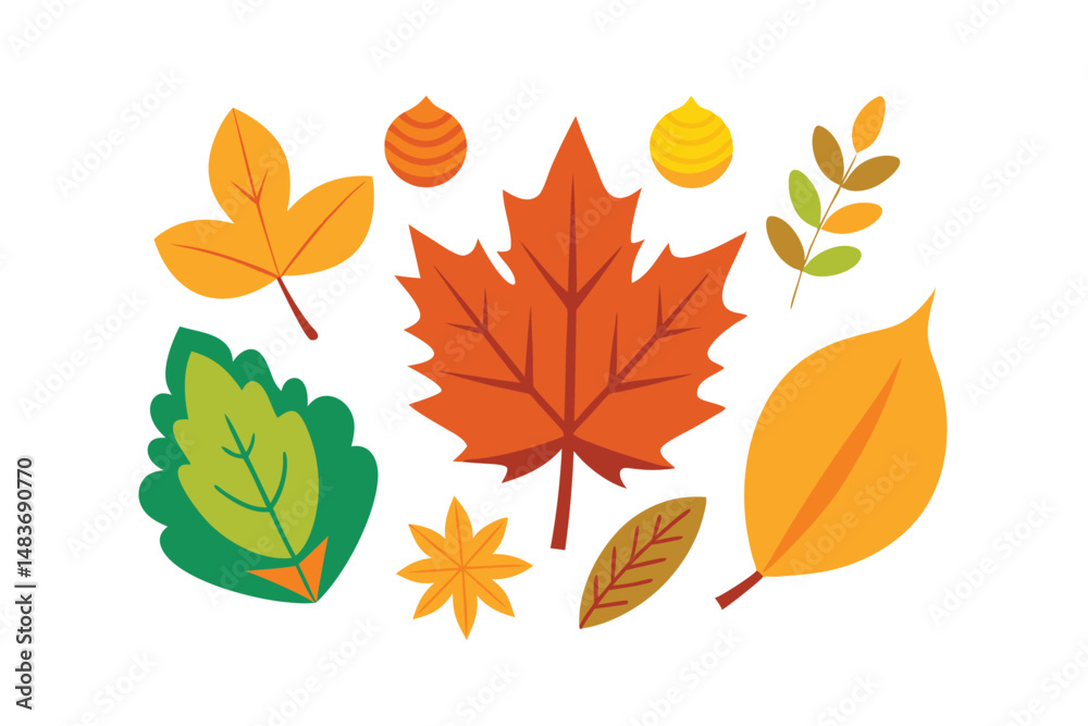 Naklejka premium autumn leaves vector illustration