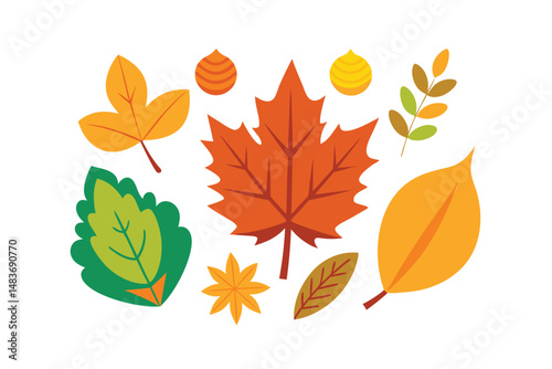 autumn leaves vector illustration