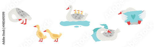 Grey Goose Character in Different Activity Vector Set