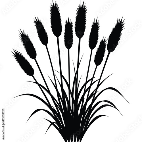 grass and flowerbed on white