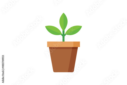 green plant in a pot