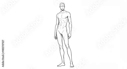 Male figure drawing