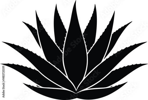 aloe vera plant vector