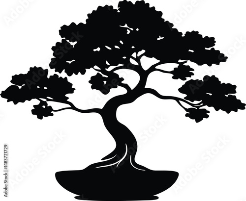 bonsai tree vector icon