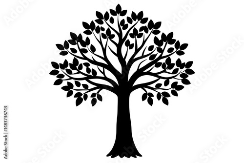 Collections dead tree against isolated on white background, clipping path