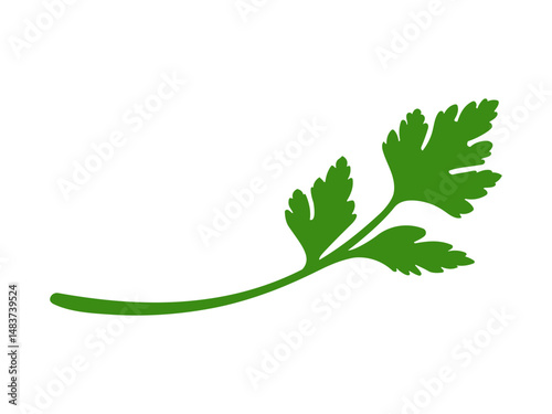 vector illustration of Parsley 