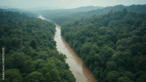 Aerial View of Kinabatangan River Through Lush Rainforest