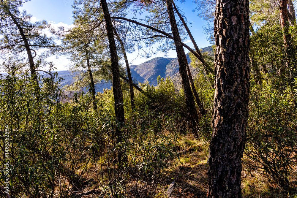 Obraz premium Cerros de Patones