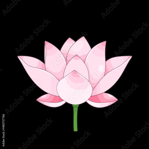 Lotus Blossom: The beauty of a perfect lotus flower, a symbol of purity and enlightenment, unfolds its delicate pink petals, revealing nature's artistry.