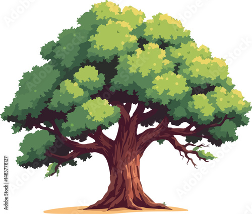 Sprawling tree with a lush crown.