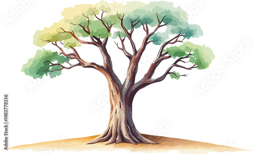 Sprawling tree with a lush crown.