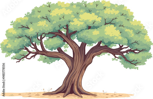 Sprawling tree with a lush crown.