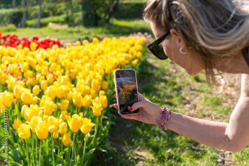 Blonde woman taking pictures of yellow tulips with smartphone in spring sunshine