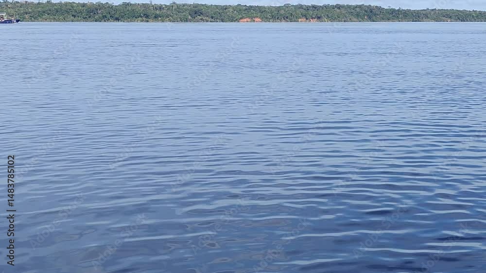 Pink river dolphins swimming in Amazon river's water. Boto cor de rosa. Delfín Rosado del Amazonas. 4k.