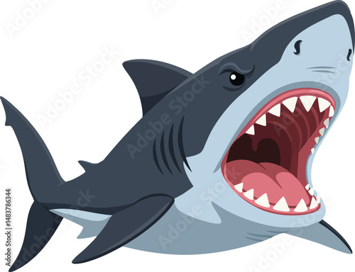 Great white shark aggressive open mouth underwater predator vector illustration for marine life design 