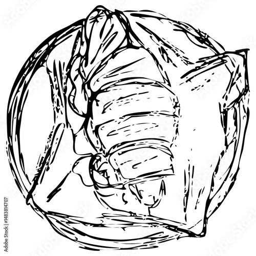 icon of a croissant with filling lying on a round plate, sketch with chaotic strokes