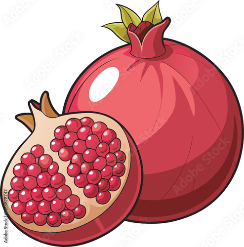 vector illustration of a pomegranate fruit on white
