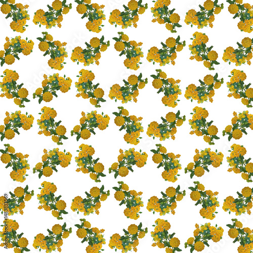 Orange flowers blooming motif pattern