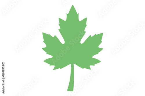 Simple Green Leaf Illustration for Organic and Natural Concepts