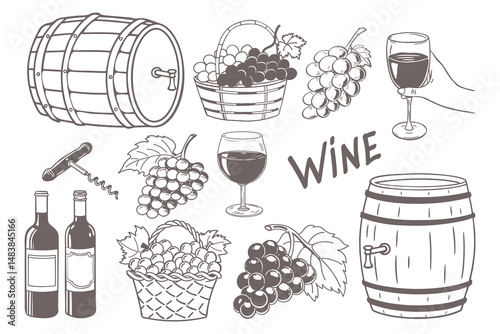 Wine and winemaking. Set of hand drawn wine bottles, grapes, barrel, glass, corkscrew, basket of grapes. Vintage wine and grape illustration.