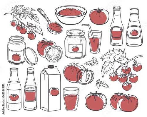 Various tomatoes and tomato products set. Tomato juice, fresh tomatoes, ketchup, tomato paste and ingredients. Hand drawn sketch illustration.