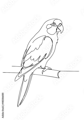 Outline drawing of a parakeet sitting on a branch, concept of continuous line, transparent background  
