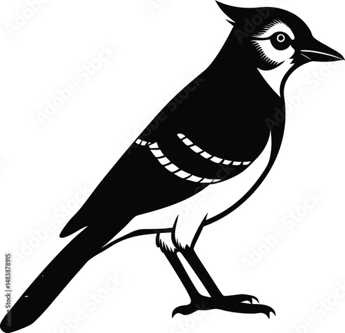 Blue Jay Silhouette in Side View