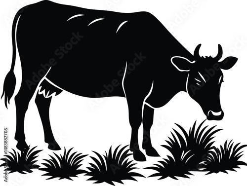 Cow Silhouette Grazing in Field