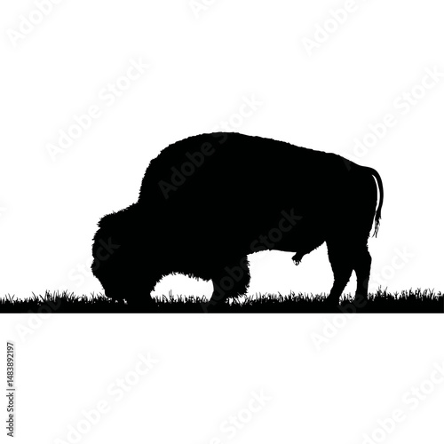 Solid black silhouette of a bison grazing