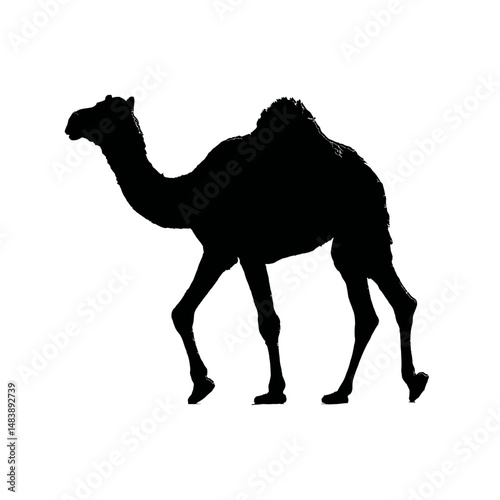 Solid black silhouette of a camel walking