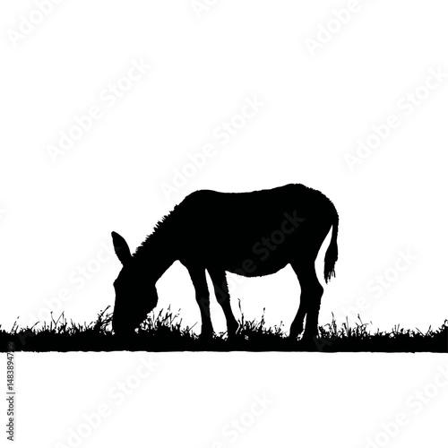 Solid black silhouette of a donkey grazing
