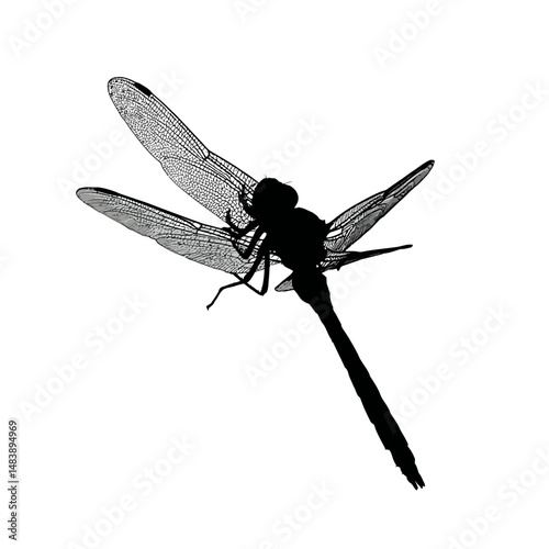 Solid black silhouette of a dragonfly resting