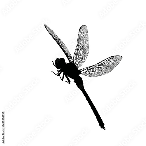 Solid black silhouette of a dragonfly hovering