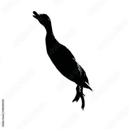 Solid black silhouette of a duck diving