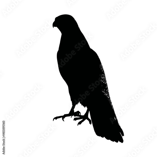 Solid black silhouette of a falcon perching