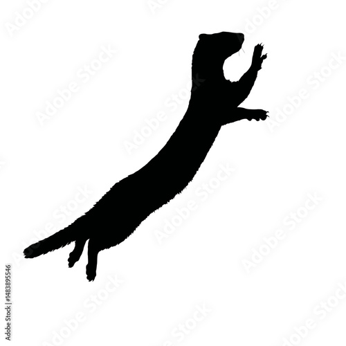 Solid black silhouette of a ferret playing