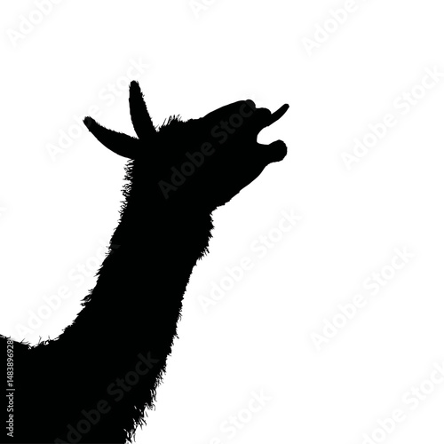 Solid black silhouette of a llama spitting