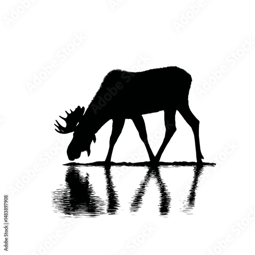 Solid black silhouette of a moose drinking