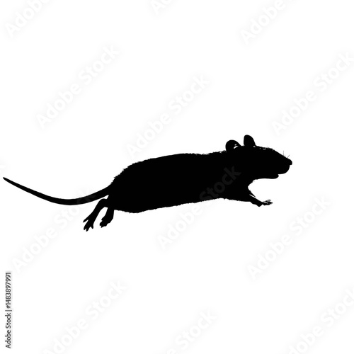 Solid black silhouette of a mouse scurrying