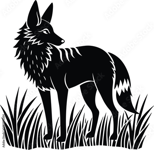Maned Wolf Silhouette Standing in Tall Grass