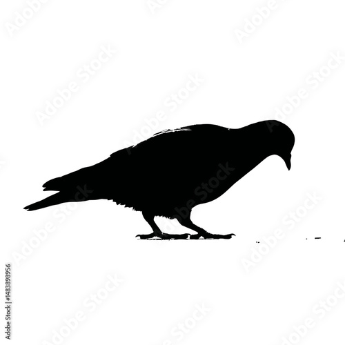 Solid black silhouette of a pigeon feeding