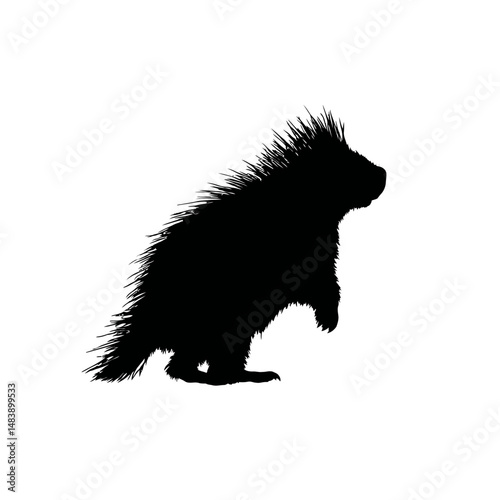 Solid black silhouette of a porcupine standing