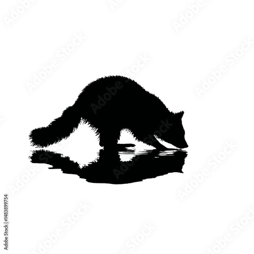 Solid black silhouette of a raccoon washing