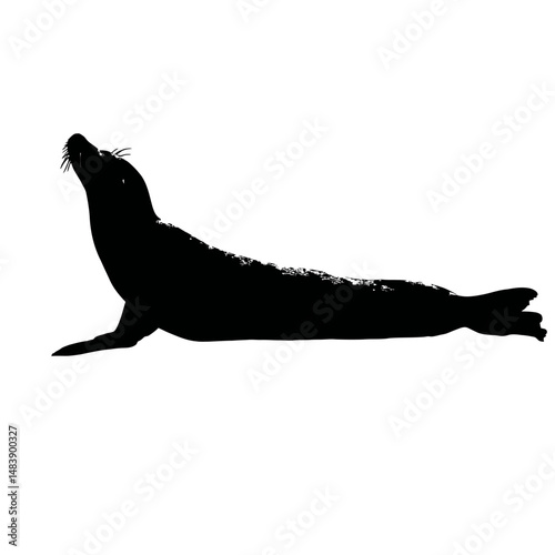 Solid black silhouette of a seal sunbathing