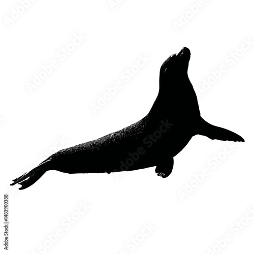 Solid black silhouette of a seal sunbathing