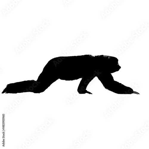 Solid black silhouette of a sloth crawling