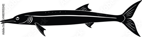 Needlefish Silhouette Long And Slim
